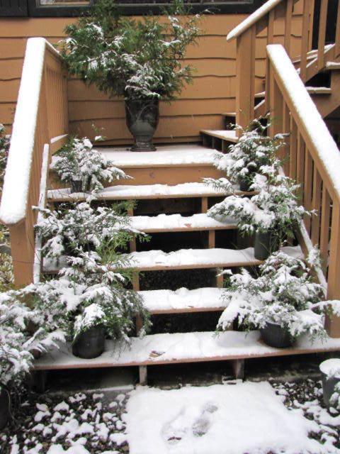 Shawnigan Lake Bed And Breakfast Exterior photo